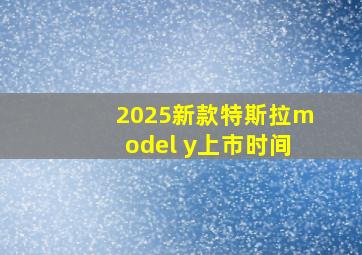 2025新款特斯拉model y上市时间